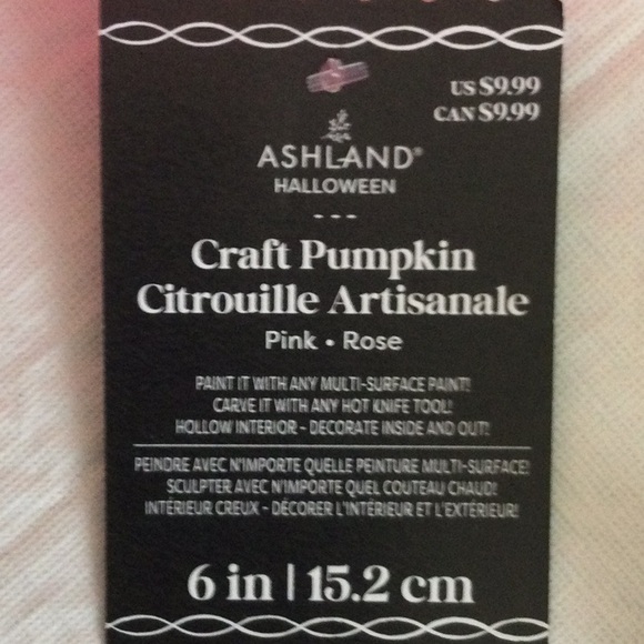 Ashland Pink Craft Pumpkins - Set of 2 - Picture 2 of 3